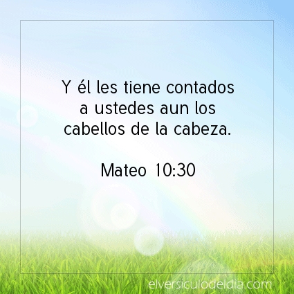 Imagen El versiculo del dia Mateo 10:30