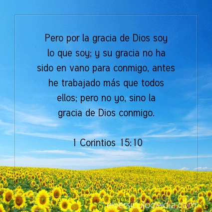 Imagen El versiculo del dia 1 Corintios 15:10