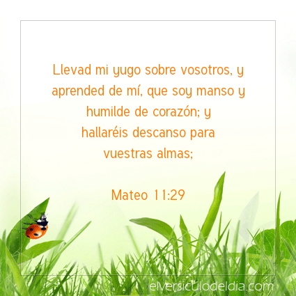 Imagen El versiculo del dia Mateo 11:29