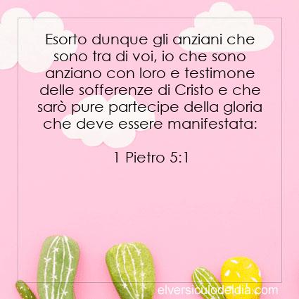 1 Pietro 5:1 NR94 - Immagine Versetto del Giorno