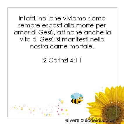 2 Corinzi 4:11 NR94 - Immagine Versetto del Giorno