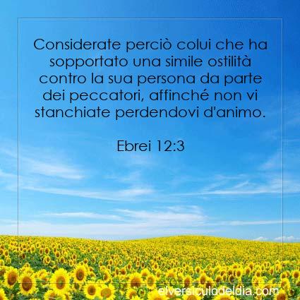 Ebrei 12:3 NR94 - Immagine Versetto del Giorno