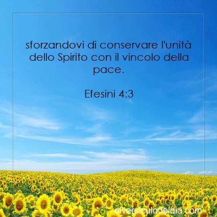 Efesini 4:3 NR94 - Immagine Versetto del Giorno