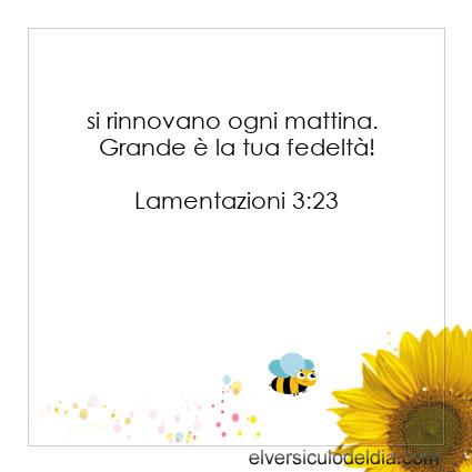 Lamentazioni 3:23 NR94 - Immagine Versetto del giorno