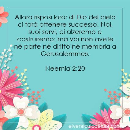 Neemia-2-20-NR94-il-versetto-del-giorno - Immagine Versetto del Giorno