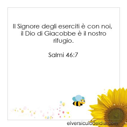 Salmi 46:7 NR94 - Immagine Versetto del giorno