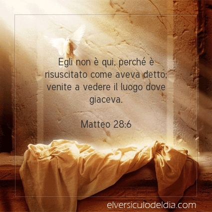 Immagine Versetto del Giorno Matteo 28:6