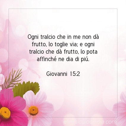 Immagine Versetto del Giorno Giovanni 15:2