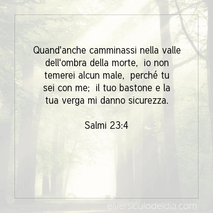 Immagine Versetto del Giorno Salmi 23:4