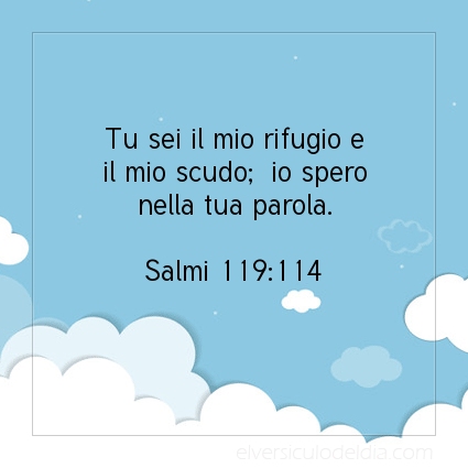 Immagine Versetto del Giorno Salmi 119:114