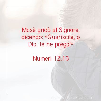 Immagine Versetto del Giorno Numeri 12:13