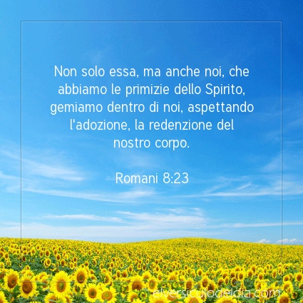 Immagine Versetto del Giorno Romani 8:23