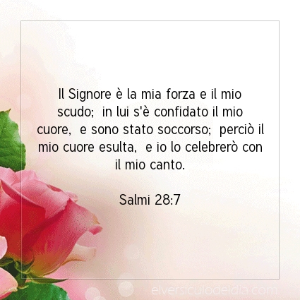 Immagine Versetto del Giorno Salmi 28:7