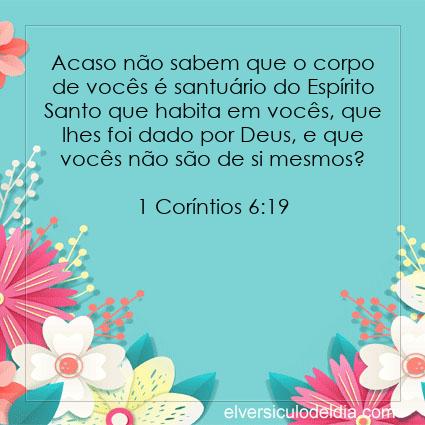1 Coríntios 6:19 NVI - Imagen Verso do Dia
