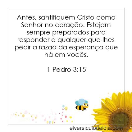 1-Pedro-3-15-NVI-verso-do-dia - Imagen El versiculo del dia