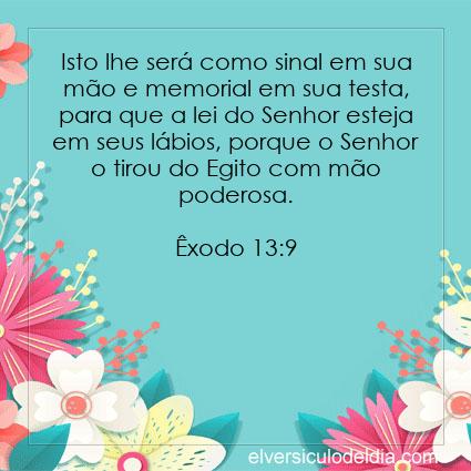 Êxodo 13:9 NVI - Imagen Verso do Dia