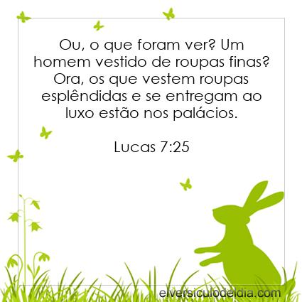 Lucas 7:25 NVI - Imagen Verso do Dia