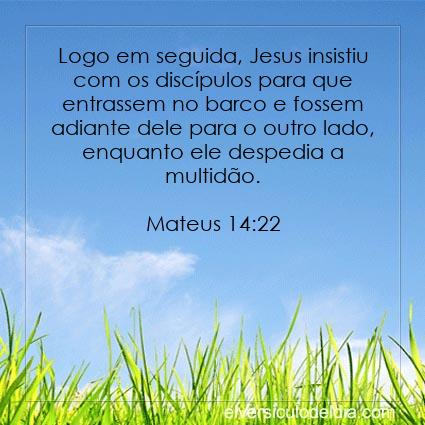 Mateus 14:22 NVI - Imagen Verso do Dia