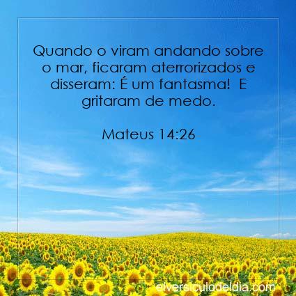 Mateus 14:26 NVI - Imagen Verso do Dia