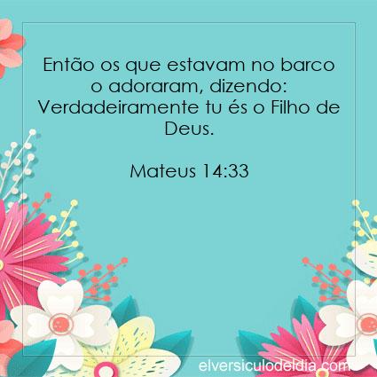 Mateus 14:33 NVI - Imagen Verso do Dia