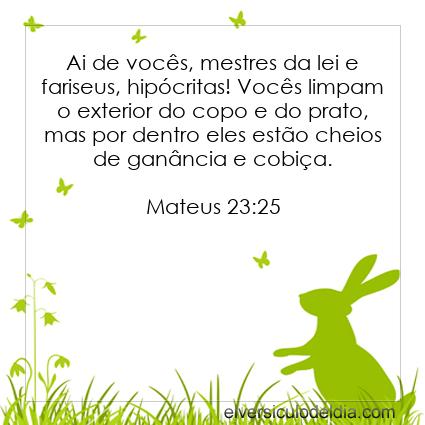 Mateus 23:25 NVI - Imagen Verso do Dia