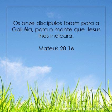 Mateus 28:16 NVI - Imagen Verso do Dia
