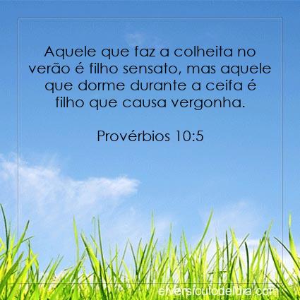 Provérbios 10:5 NVI - Imagen Verso do Dia