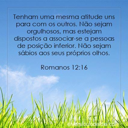 Romanos 12:16 NVI - Imagen Verso do Dia