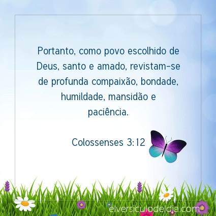 Imagem Verso do dia Colossenses 3:12