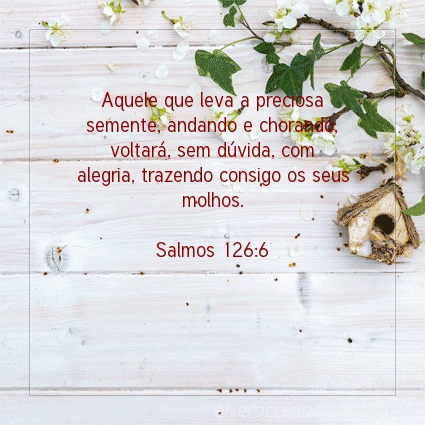 Imagem Verso do dia Salmos 126:6