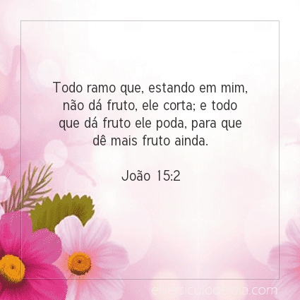 Imagem Verso do dia João 15:2