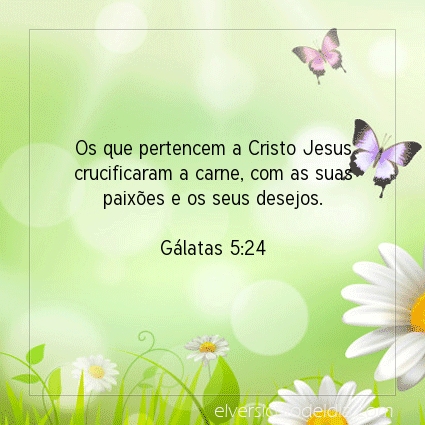 Imagem Verso do dia Gálatas 5:24