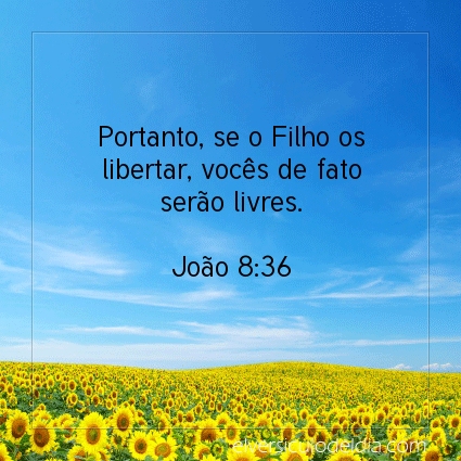 Imagem Verso do dia João 8:36