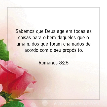 Imagem Verso do dia Romanos 8:28