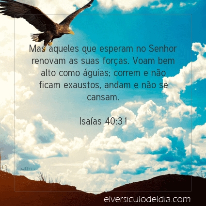 Imagem Verso do dia Isaías 40:31