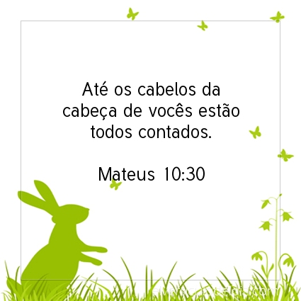 Imagem Verso do dia Mateus 10:30