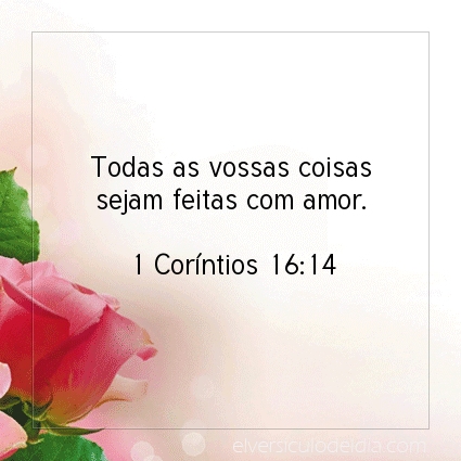 Imagem Verso do dia 1 Coríntios 16:14