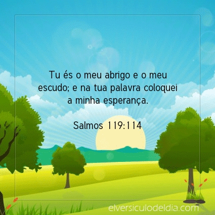 Imagem Verso do dia Salmos 119:114
