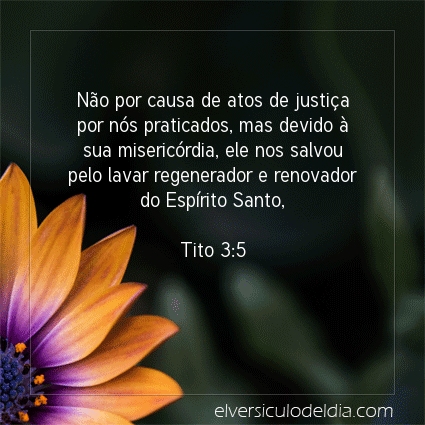 Imagem Verso do dia Tito 3:5