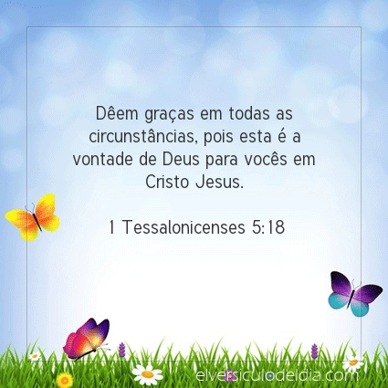 Imagem Verso do dia 1 Tessalonicenses 5:18