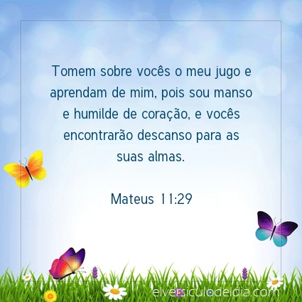 Imagem Verso do dia Mateus 11:29
