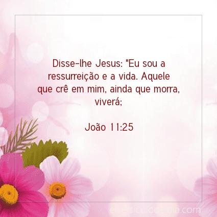 Imagem Verso do dia João 11:25